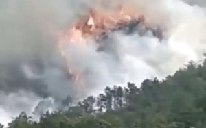 Con 132 personas a bordo, un Boeing 737 se estrelló en el sur de China Con 132 personas a bordo, un Boeing 737 se estrelló en el sur de China