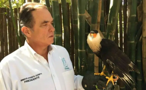 La Asociación de Zoológicos, Criaderos y Acuarios de México se suma a Salvemos nuestra selva La Asociación de Zoológicos, Criaderos y Acuarios de México se suma a Salvemos nuestra selva