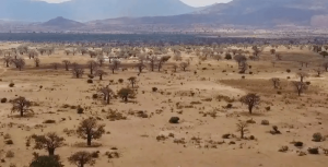 Más del 50 por ciento del territorio estatal sufre algún tipo de sequía; el gobernador pide cuidar el agua Más del 50 por ciento del territorio estatal sufre algún tipo de sequía; el gobernador pide cuidar el agua