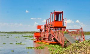 San Miguel de Allende, Gto. Sufre por Lirio San Miguel de Allende, Gto. Sufre por Lirio