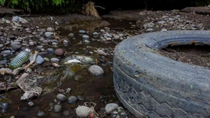 México, casi sin agua superficial; La que hay está contaminada y la subterránea padece sobreexplotación México, casi sin agua superficial; La que hay está contaminada y la subterránea padece sobreexplotación