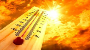 Guanajuato registrará temperaturas de más de 35º Celsius; la SSG emite recomendaciones para evitar daños a la salud Guanajuato registrará temperaturas de más de 35º Celsius; la SSG emite recomendaciones para evitar daños a la salud