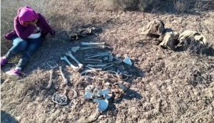 Aprueba el Senado la creación del Centro Nacional de Identificación Humana Aprueba el Senado la creación del Centro Nacional de Identificación Humana