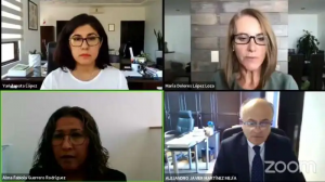 Confirma el TEEG negativa del IEEG para ampliar el plazo para presentar solicitud de plebiscito Confirma el TEEG negativa del IEEG para ampliar el plazo para presentar solicitud de plebiscito