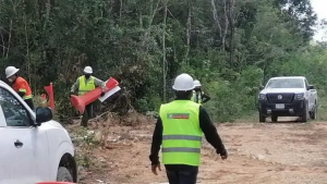 DEL SEÑOR TALASELVAS DEL SEÑOR TALASELVAS