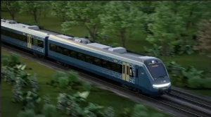 Demanda a México Greenpeace por el Tren Maya Demanda a México Greenpeace por el Tren Maya