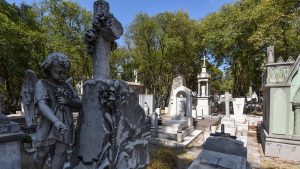 Joven viaja y cumple su promesa: baila huapango junto a la tumba de su amiga Joven viaja y cumple su promesa: baila huapango junto a la tumba de su amiga