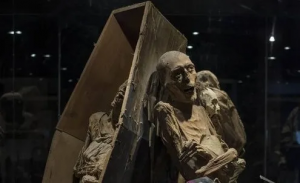 Momias de Guanajuato: identidad amenazada Momias de Guanajuato: identidad amenazada