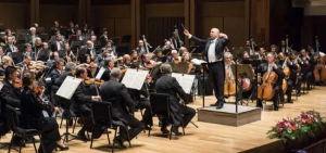 DE MI QUERIDA OSUG DE MI QUERIDA OSUG