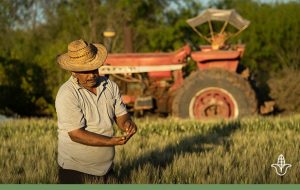 PIDEN DIPUTADOS APOYOS PARA PRODUCTORES AGRÍCOLAS PIDEN DIPUTADOS APOYOS PARA PRODUCTORES AGRÍCOLAS