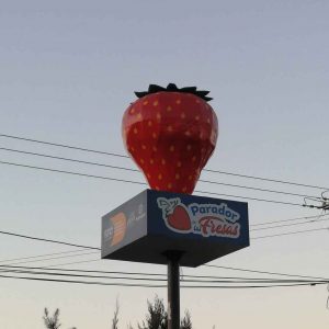 Aún sin fecha de arranque mercado de la fresa Aún sin fecha de arranque mercado de la fresa