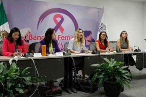 Diputadas legislan en favor de las mujeres Diputadas legislan en favor de las mujeres