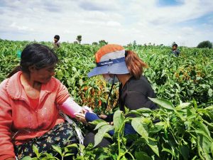 Robustece este año Sistema de Salud de Guanajuato acciones de atención a migrantes Robustece este año Sistema de Salud de Guanajuato acciones de atención a migrantes