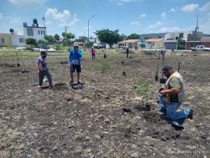 Salmantinos ponen el ejemplo plantando árboles en su fraccionamiento Salmantinos ponen el ejemplo plantando árboles en su fraccionamiento