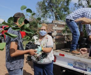 Voluntariado juvenil del DIF siembra árboles y esperanza Voluntariado juvenil del DIF siembra árboles y esperanza