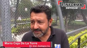 Irapuato albergará a 4 animales del santuario Black Jaguar Irapuato albergará a 4 animales del santuario Black Jaguar