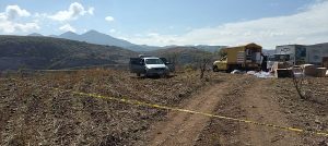 Desarticulan banda dedicada al robo de electrodomésticos Desarticulan banda dedicada al robo de electrodomésticos
