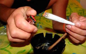 De la raíz de los frutos de hoy, la violencia nuestra de cada dia De la raíz de los frutos de hoy, la violencia nuestra de cada dia