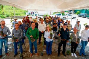 Productores capitalinos reciben más de 5 mil árboles frutales Productores capitalinos reciben más de 5 mil árboles frutales