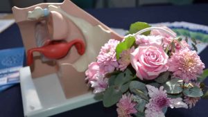 Guanajuato se ubica por debajo de la media nacional la tasa de mortalidad a causa del cáncer Cervicouterino Guanajuato se ubica por debajo de la media nacional la tasa de mortalidad a causa del cáncer Cervicouterino