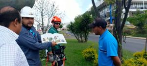 Capacitan expertos arboristas al personal de Servicios Públicos en cuidado especializado de árboles Capacitan expertos arboristas al personal de Servicios Públicos en cuidado especializado de árboles