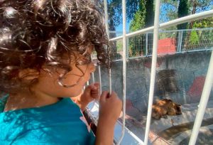 ¡Aprovecha el último fin de vacaciones para ir al Zooira! ¡Aprovecha el último fin de vacaciones para ir al Zooira!
