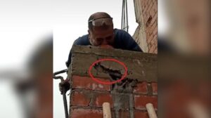 Albañiles se rien por un error cometido. Albañiles se rien por un error cometido.