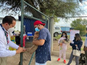 El Sistema de Salud Gto documentó 5 casos de contagio de rabia proveniente de fauna silvestre. El Sistema de Salud Gto documentó 5 casos de contagio de rabia proveniente de fauna silvestre.