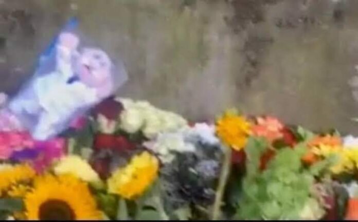 WhatsApp Image 2022-09-13 at 2.33.28 PM