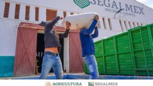 Vinculan a proceso a ex directivo de SEGALMEX Vinculan a proceso a ex directivo de SEGALMEX