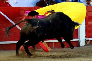 Gutiérrez vuelta, Castella y Gilio al tercio, los 3 fallaron con la espada Gutiérrez vuelta, Castella y Gilio al tercio, los 3 fallaron con la espada