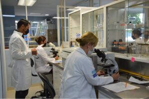 Guanajuato confirma 21 casos de Viruela del Mono. Guanajuato confirma 21 casos de Viruela del Mono.
