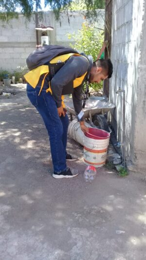 Operativo dengue en marcha en San Miguel de Allende. Operativo dengue en marcha en San Miguel de Allende.