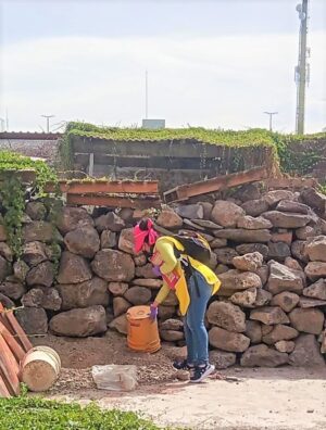 SSG interviene en Uriangato para detener criaderos de moscos. SSG interviene en Uriangato para detener criaderos de moscos.