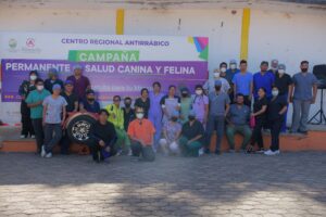 Realizan esterilización a perros y gatos en Cabecera Municipal Realizan esterilización a perros y gatos en Cabecera Municipal