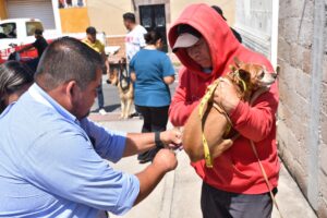 Comienza Vacunación Antirrábica en Abasolo Comienza Vacunación Antirrábica en Abasolo