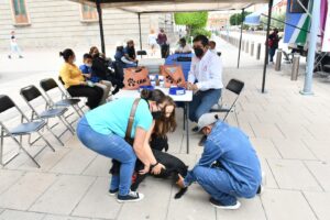 INVITAN A VACUNAR A MASCOTAS CONTRA LA RABIA INVITAN A VACUNAR A MASCOTAS CONTRA LA RABIA