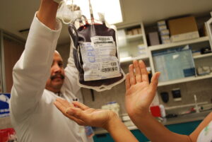 SSG exhorta a identificar los síntomas de la hemofilia. SSG exhorta a identificar los síntomas de la hemofilia.