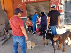 SSG alista vacunación antirrábica en la capital de Guanajuato. SSG alista vacunación antirrábica en la capital de Guanajuato.