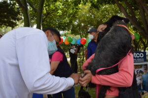 SSG destina más de 130 mil vacunas antirrábicas para aplicar a perros y gatos en San Miguel de Allende. SSG destina más de 130 mil vacunas antirrábicas para aplicar a perros y gatos en San Miguel de Allende.