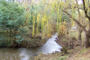 MONITOREAN RIOS Y ARROYOS DE CARA A LA TEMPORADA DE LLUVIAS. MONITOREAN RIOS Y ARROYOS DE CARA A LA TEMPORADA DE LLUVIAS.