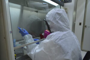 Guanajuato contiene la viruela símica con una vigilancia epidemiológica efectiva. Guanajuato contiene la viruela símica con una vigilancia epidemiológica efectiva.