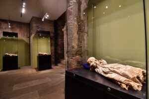 Invita Navarro a la gente de la capital a disfrutar de museos gratuitos en estas vacaciones Invita Navarro a la gente de la capital a disfrutar de museos gratuitos en estas vacaciones