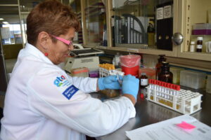 Sistema de Salud estrecha vigilancia para la prevención de rabia en bovinos. Sistema de Salud estrecha vigilancia para la prevención de rabia en bovinos.