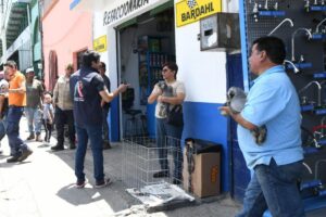Buscarán frenar venta ilegal de mascotas en Irapuato Buscarán frenar venta ilegal de mascotas en Irapuato