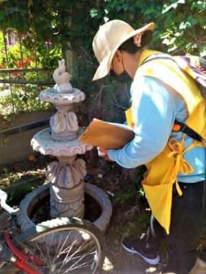 SSG refuerza el combate al dengue en San Miguel de Allende. SSG refuerza el combate al dengue en San Miguel de Allende.