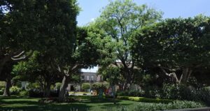 Invitan a Reto Naturista para preservar y alzar biodiversidad en Irapuato Invitan a Reto Naturista para preservar y alzar biodiversidad en Irapuato