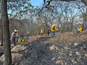 Logramos sofocar el incendio en la Sierra de Pénjamo Logramos sofocar el incendio en la Sierra de Pénjamo