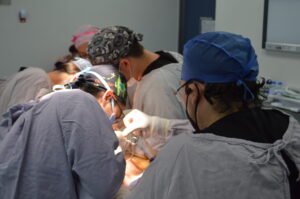 El Sistema de Salud anunció una Jornada de Reconstrucción Mamaria para 47 sobrevivientes de cáncer. El Sistema de Salud anunció una Jornada de Reconstrucción Mamaria para 47 sobrevivientes de cáncer.