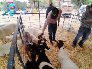 Todo un éxito la Expo Agrícola-Pecuaria en Guanajuato Capital Todo un éxito la Expo Agrícola-Pecuaria en Guanajuato Capital